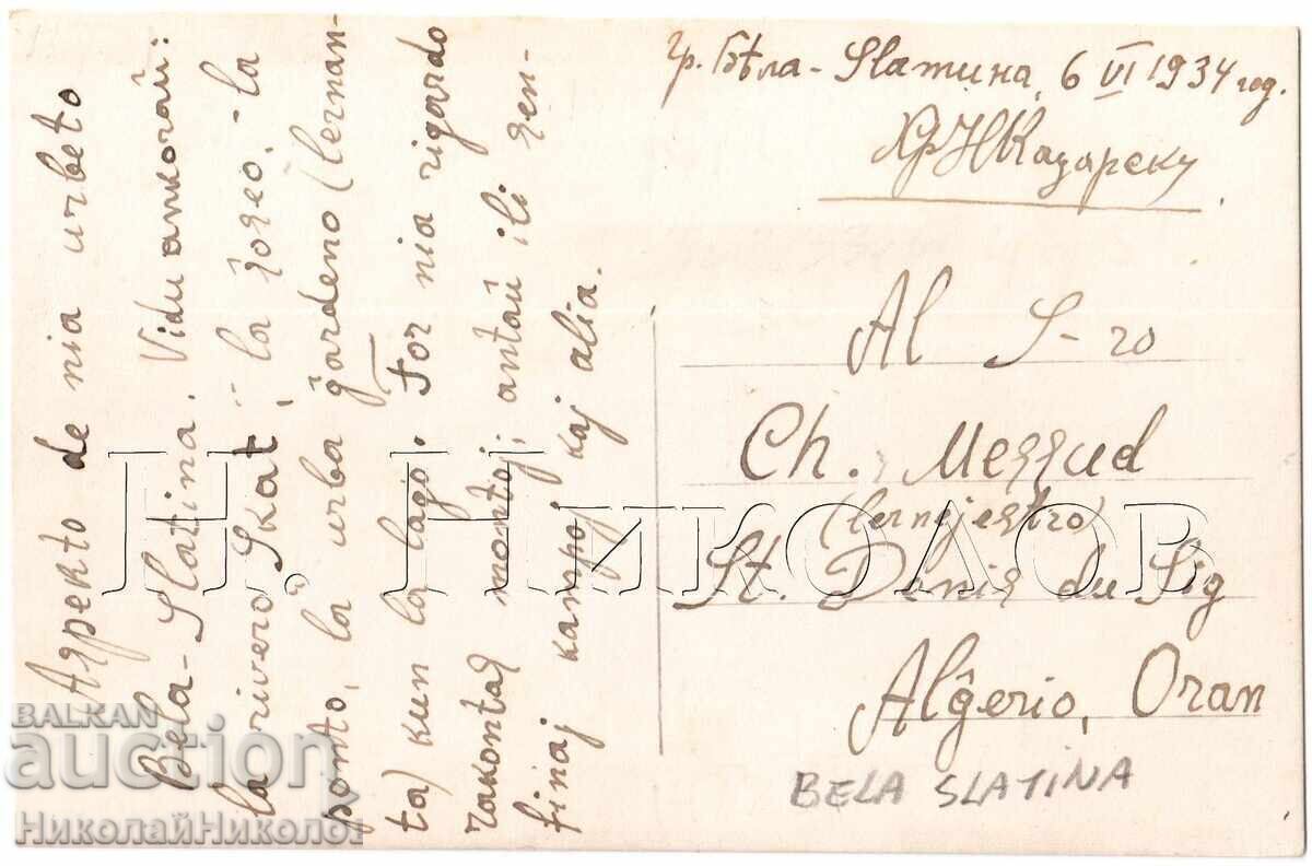 1934 OLD CARD WHITE SLATIN TO ORAN ALGERIA D333 with price 20.00 BGN | € 10.23 1934 OLD CARD WHITE SLATIN TO ORAN ALGERIA D333 with price 20.00 BGN | € 10.23