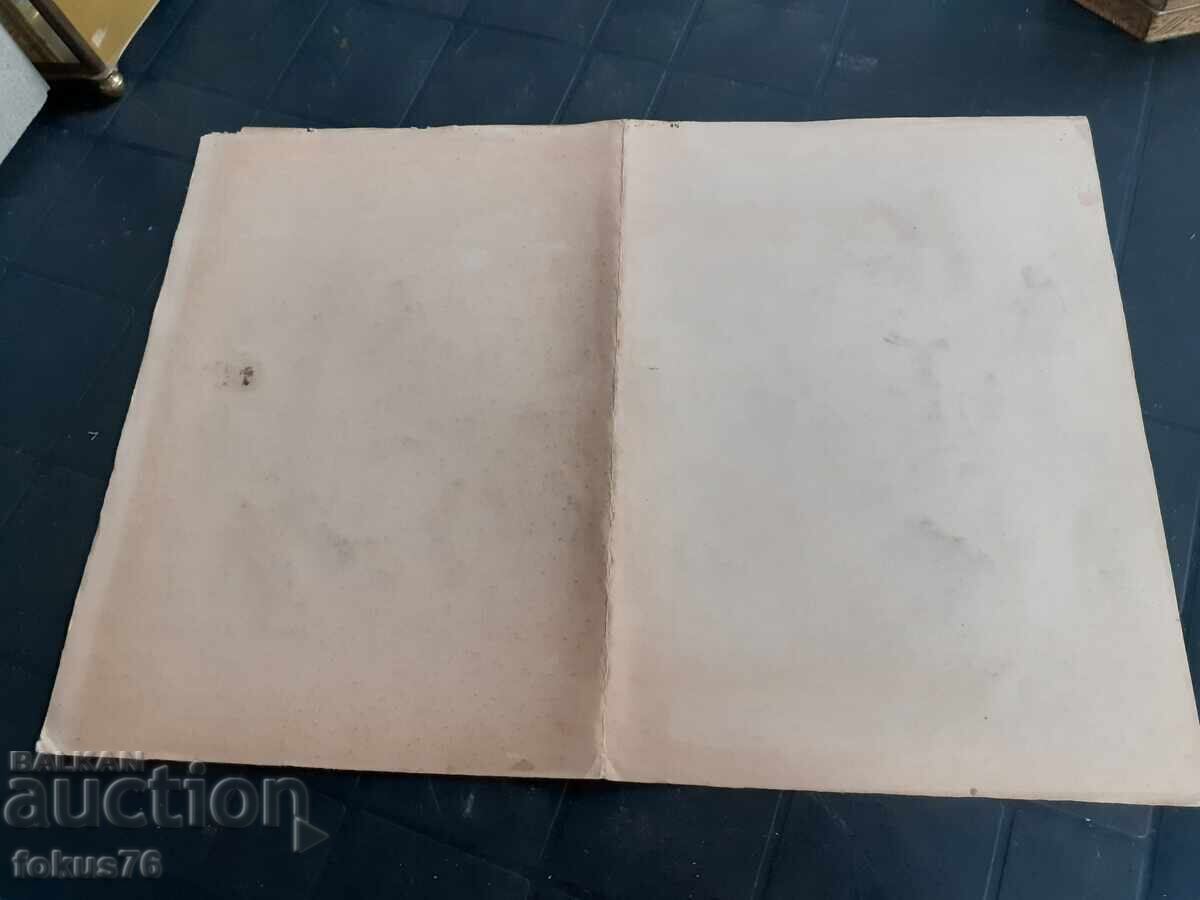 Auction Old master drawing with pastels - portrait of a woman Auction Old master drawing with pastels - portrait of a woman