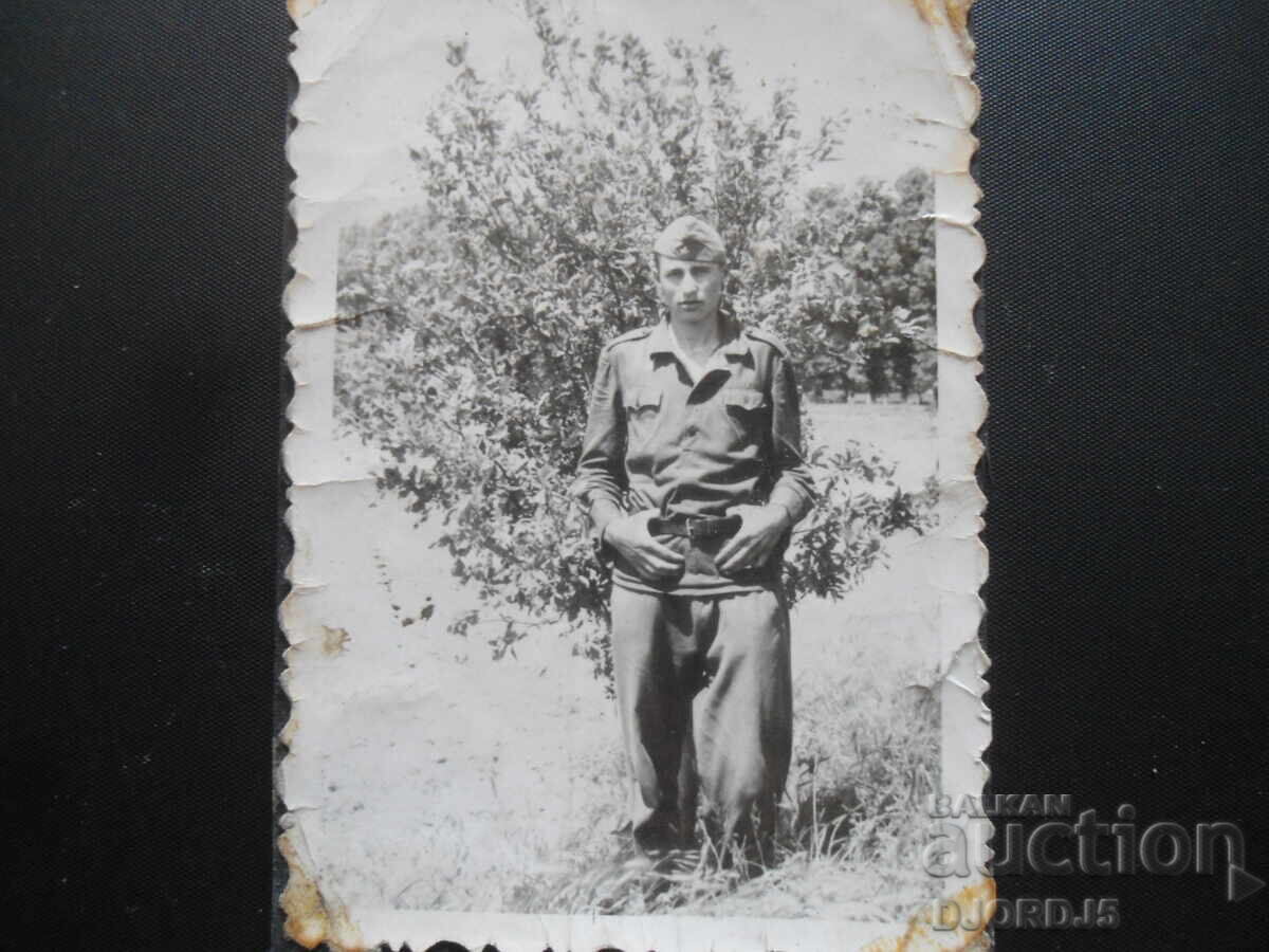 fotografie veche fotografie veche