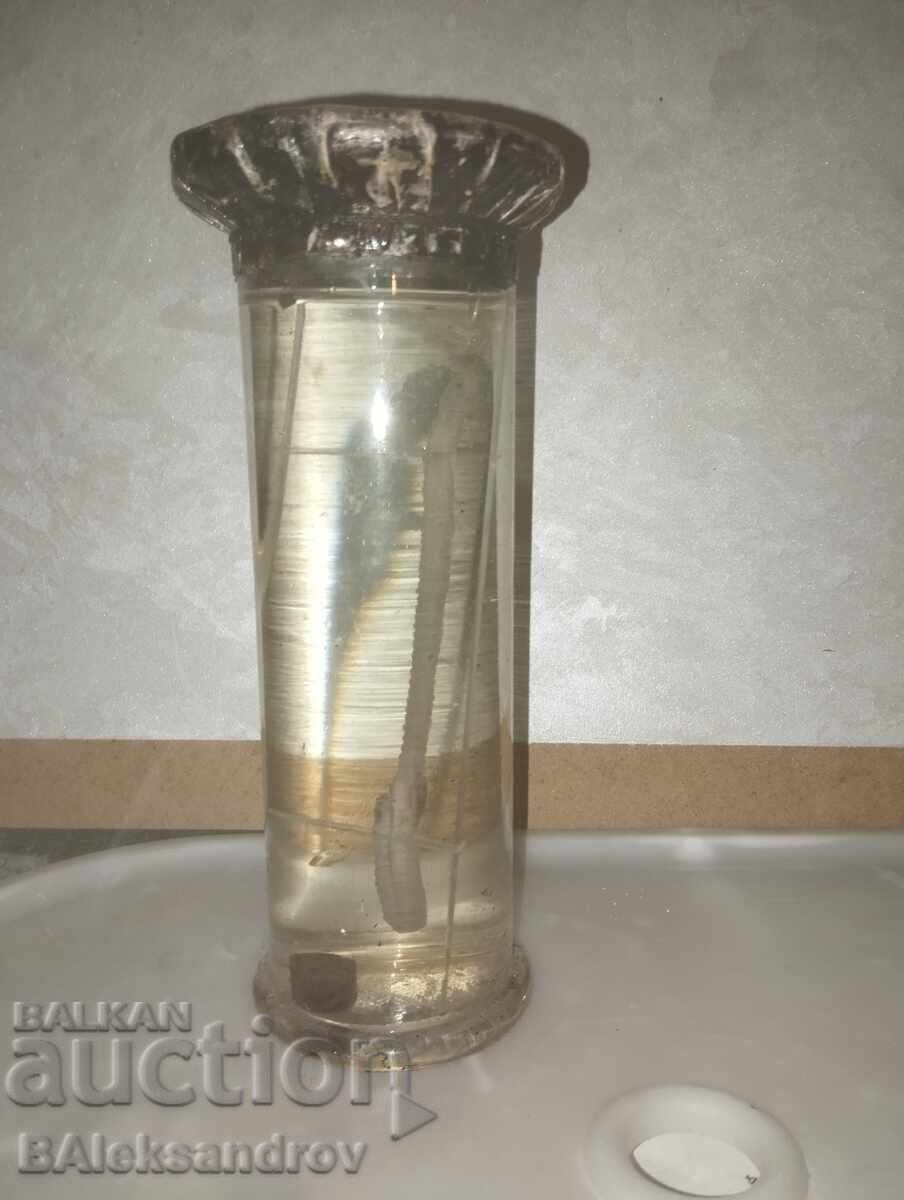 A handout from a biology office with price 16.00 BGN | € 8.18 A handout from a biology office with price 16.00 BGN | € 8.18