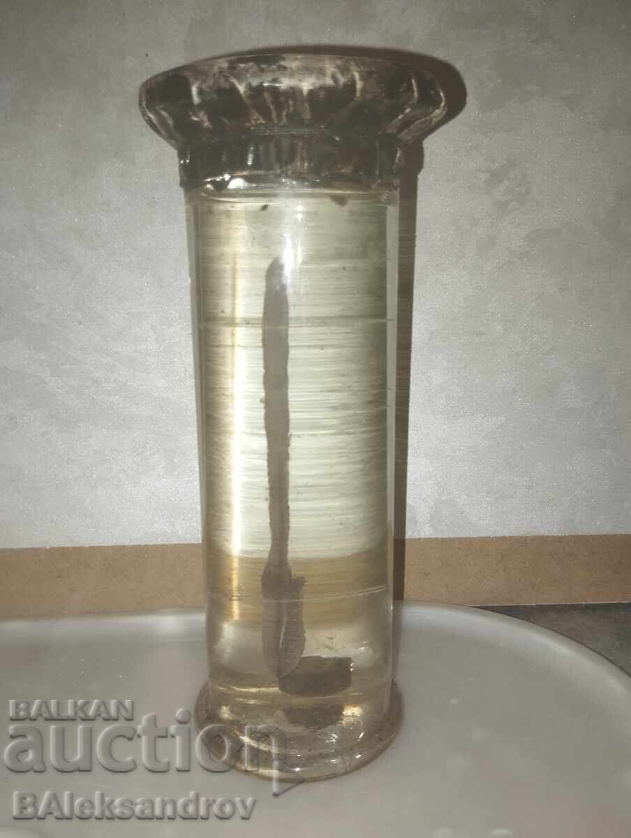 Auction A handout from a biology office Auction A handout from a biology office