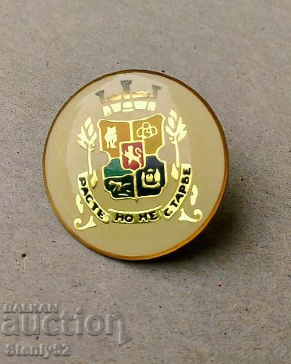 Badge Coat of Arms of Sofia. Badge Coat of Arms of Sofia.