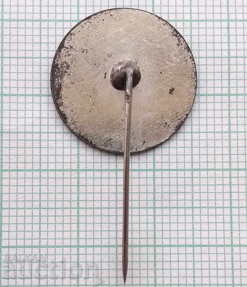 Auction  17963 Badge - 50 years factory Ana Luskova Burgas