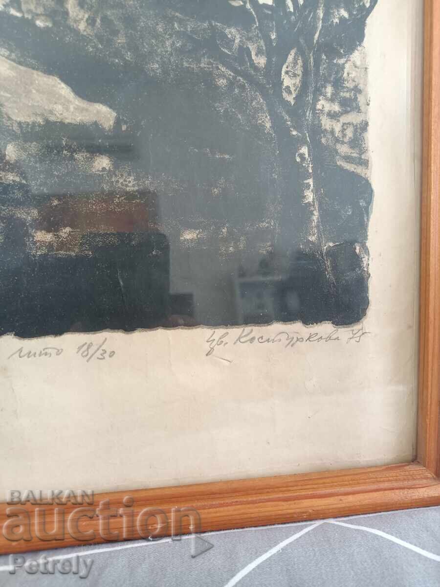 Φωτογραφία της Τσβετάνα Κοστούρκοβα - 6 Φωτογραφία της Τσβετάνα Κοστούρκοβα - 6