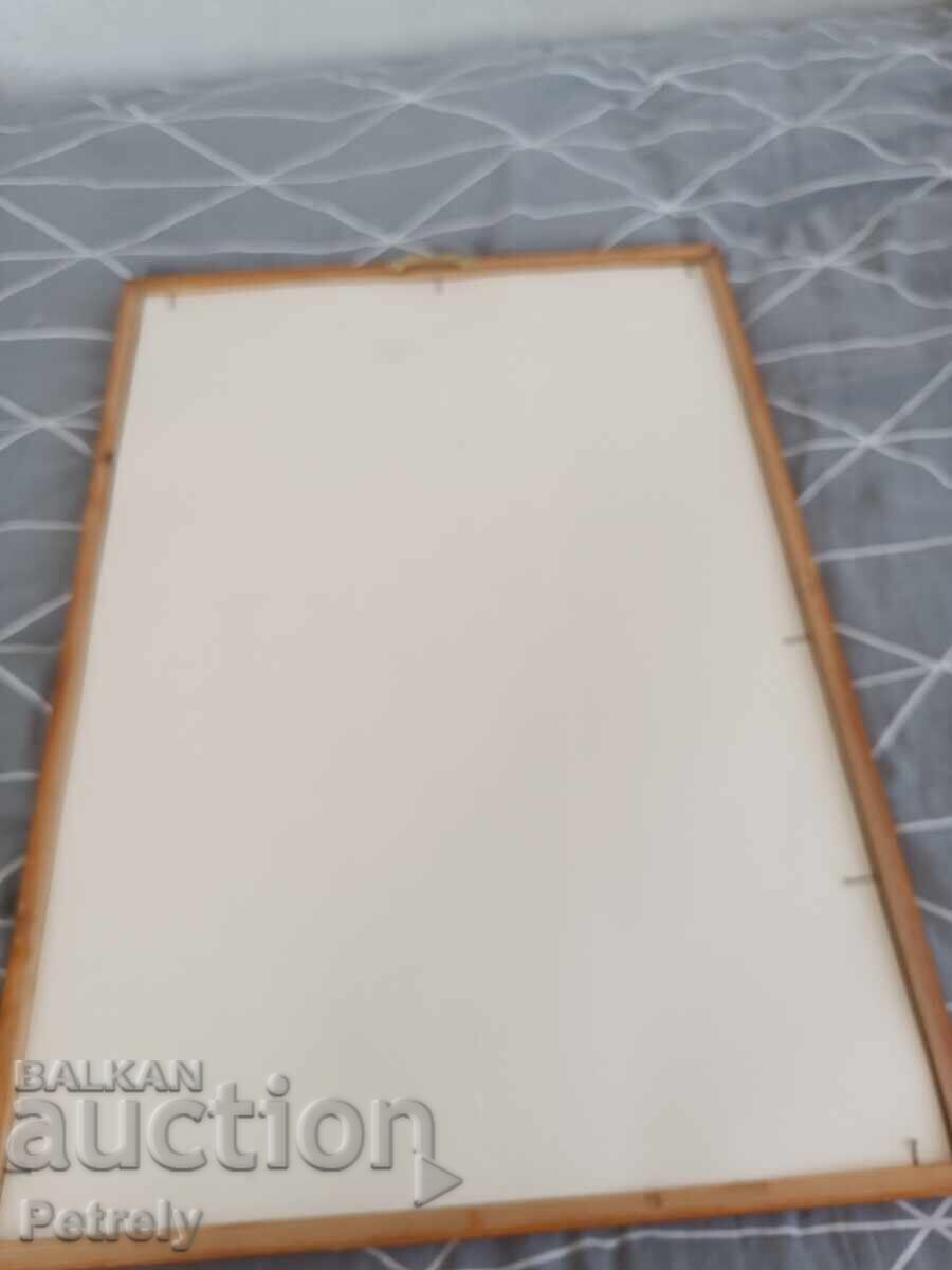 Φωτογραφία της Τσβετάνα Κοστούρκοβα - 7 Φωτογραφία της Τσβετάνα Κοστούρκοβα - 7