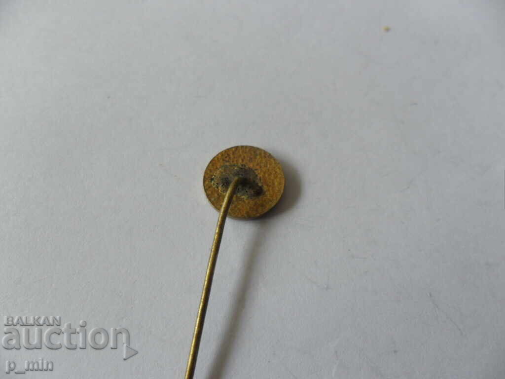 Auction  breastplate - Botevgrad