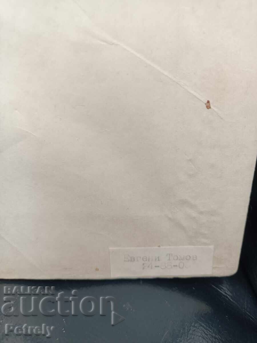 Painting by Evgeni Tomov - 5