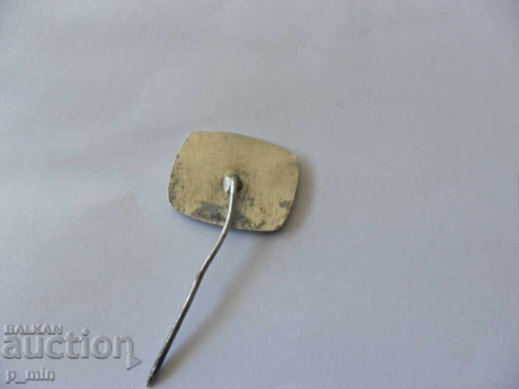 Auction breastplate - Druster Silistra Auction breastplate - Druster Silistra