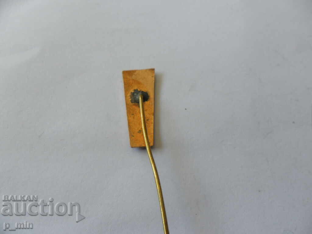 Licitație insigna Licitație insigna