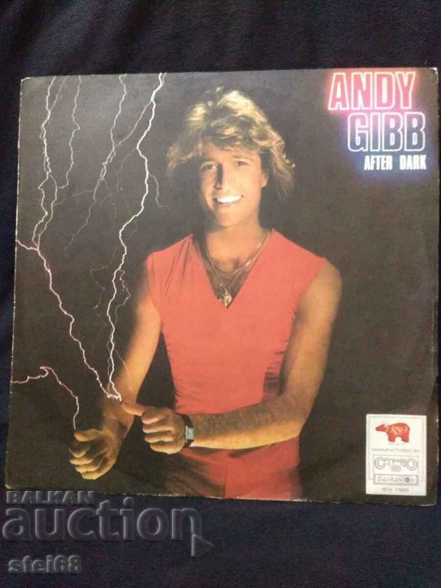 ANDY GIBB ANDY GIBB