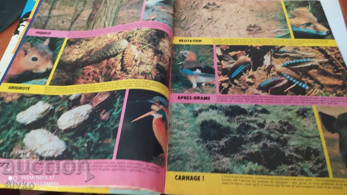 Pif Magazine No. 833 - 6 Pif Magazine No. 833 - 6