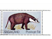 1969. Nagaland, India. Badger - porcupine. ILLEGAL.