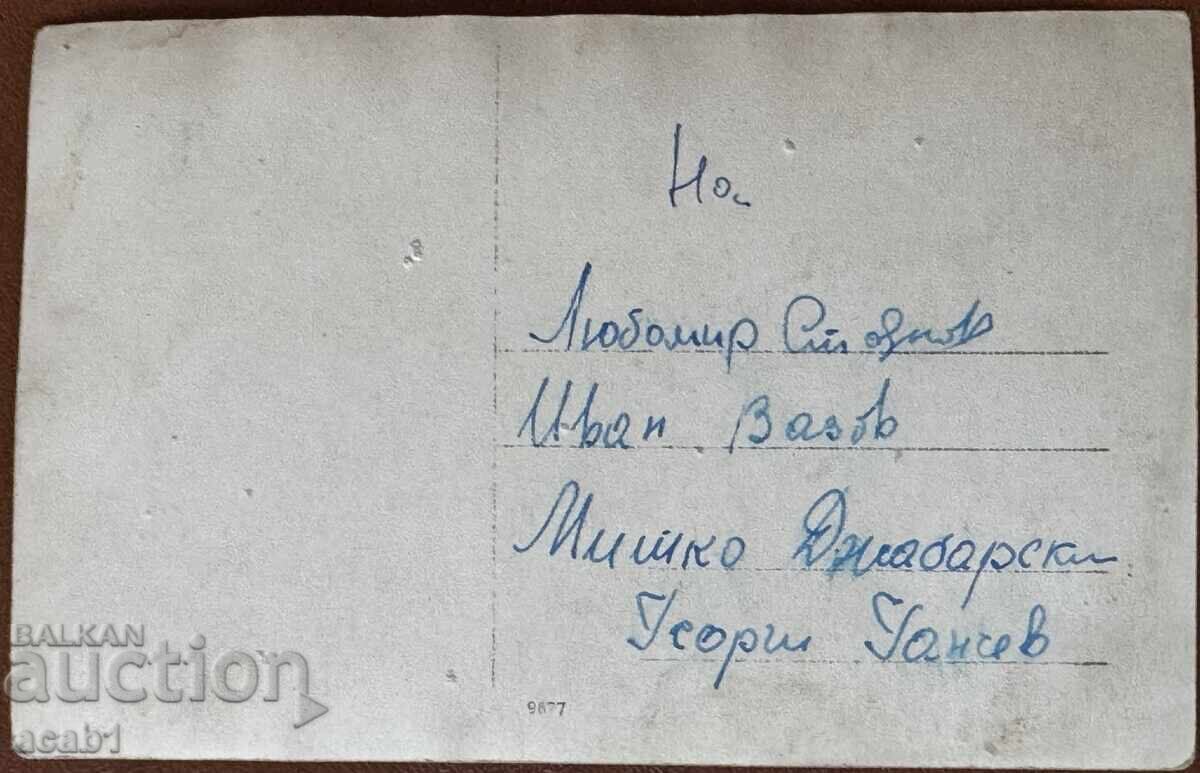 Brother and Sister with price 6.99 BGN | € 3.57