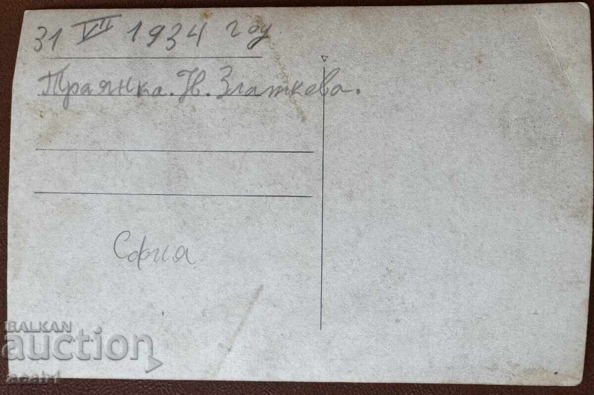 Licitație fata Sofia Sofianka Licitație fata Sofia Sofianka