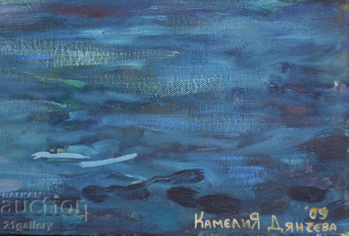 Kamelia Diancheva / Θαλάσσιο τοπίο βράχοι, λαδομπογιές 2009 - 7
