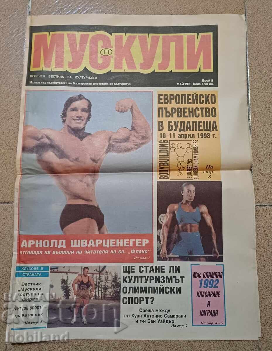Muscles collector's journal