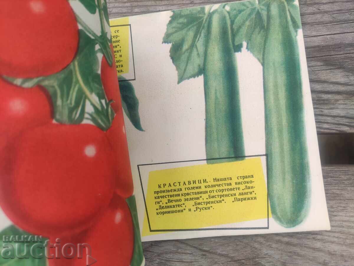 Δημοπρασία Η βουλγαρική γεωργία και δασοκομία στην πορεία προς τον σοσιαλισμό Δημοπρασία Η βουλγαρική γεωργία και δασοκομία στην πορεία προς τον σοσιαλισμό