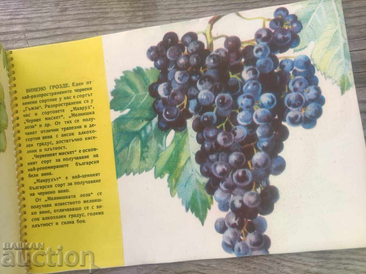 Παράδοση Η βουλγαρική γεωργία και δασοκομία στην πορεία προς τον σοσιαλισμό Παράδοση Η βουλγαρική γεωργία και δασοκομία στην πορεία προς τον σοσιαλισμό