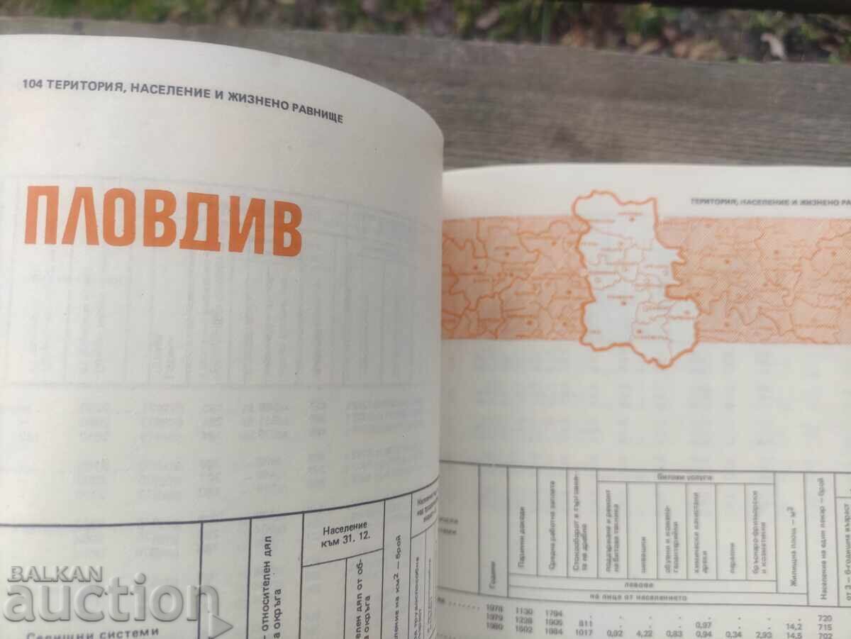 Delivery of Socio-economic development of the cross-border systems in the Bulgarian Red Cross