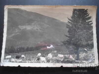 From the Berkovitsa Balkans, Berkovitsa 1939, παλιά καρτ ποστάλ