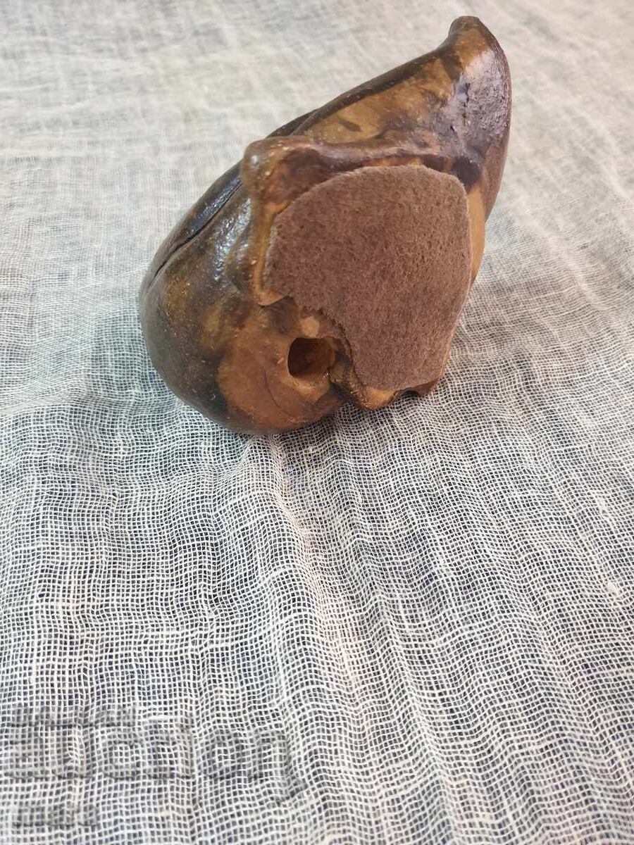 Sculptură grea din piatră a unei rațe - 5 Sculptură grea din piatră a unei rațe - 5