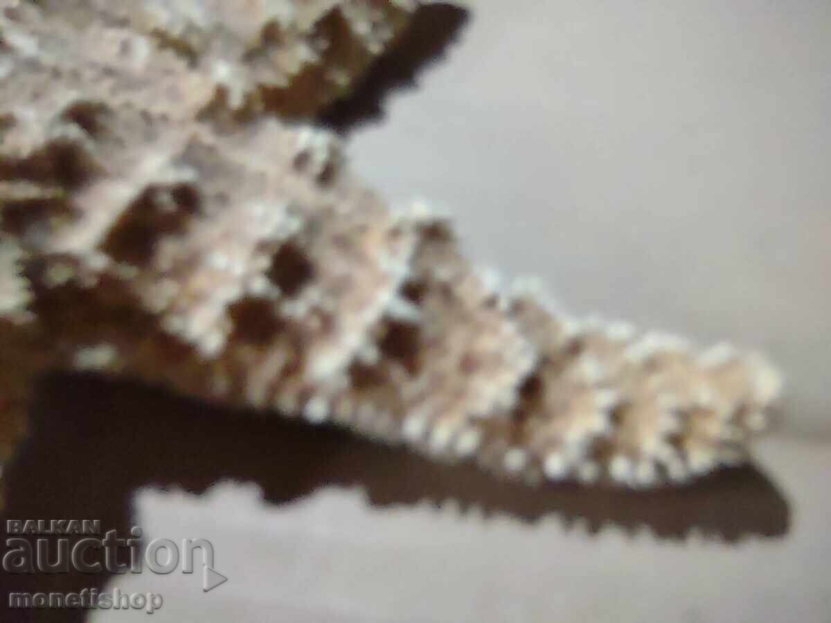 Παράδοση Δώρα στον ωκεανό Παράδοση Δώρα στον ωκεανό