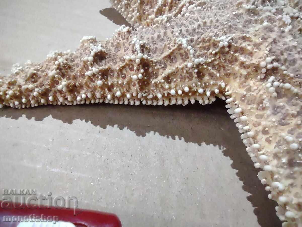 Δώρα στον ωκεανό - 7 Δώρα στον ωκεανό - 7