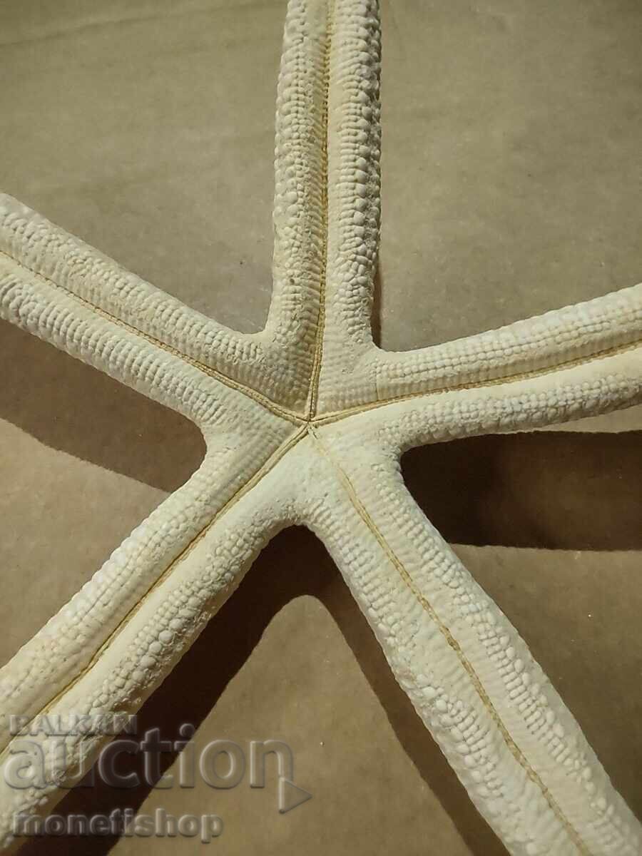 Δώρα στον ωκεανό. με τιμή 25.00 BGN | € 12.78 Δώρα στον ωκεανό. με τιμή 25.00 BGN | € 12.78