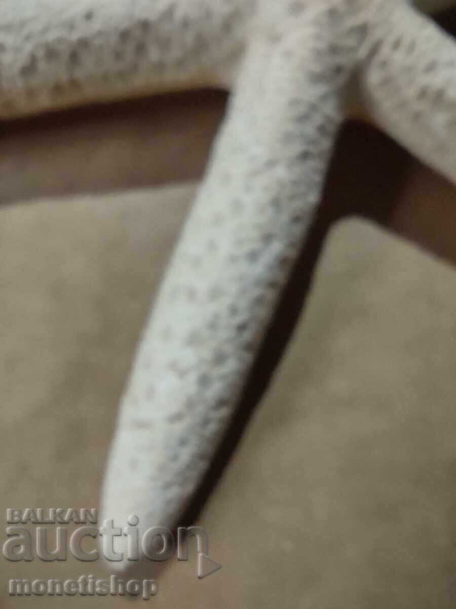 Δημοπρασία Δώρα στον ωκεανό. Δημοπρασία Δώρα στον ωκεανό.