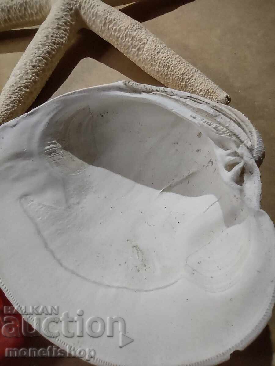 Παράδοση Δώρα στον ωκεανό. Παράδοση Δώρα στον ωκεανό.