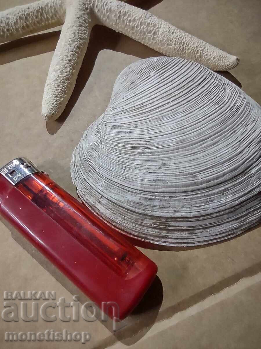 Δώρα στον ωκεανό. - 5 Δώρα στον ωκεανό. - 5