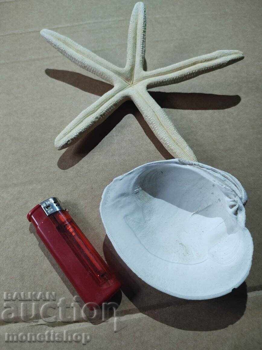 Δώρα στον ωκεανό. - 6 Δώρα στον ωκεανό. - 6