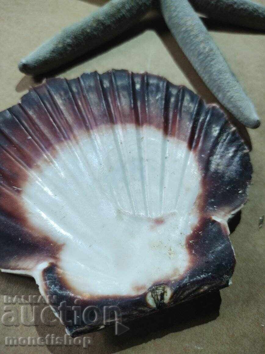 Δημοπρασία Δώρα στον ωκεανό Δημοπρασία Δώρα στον ωκεανό