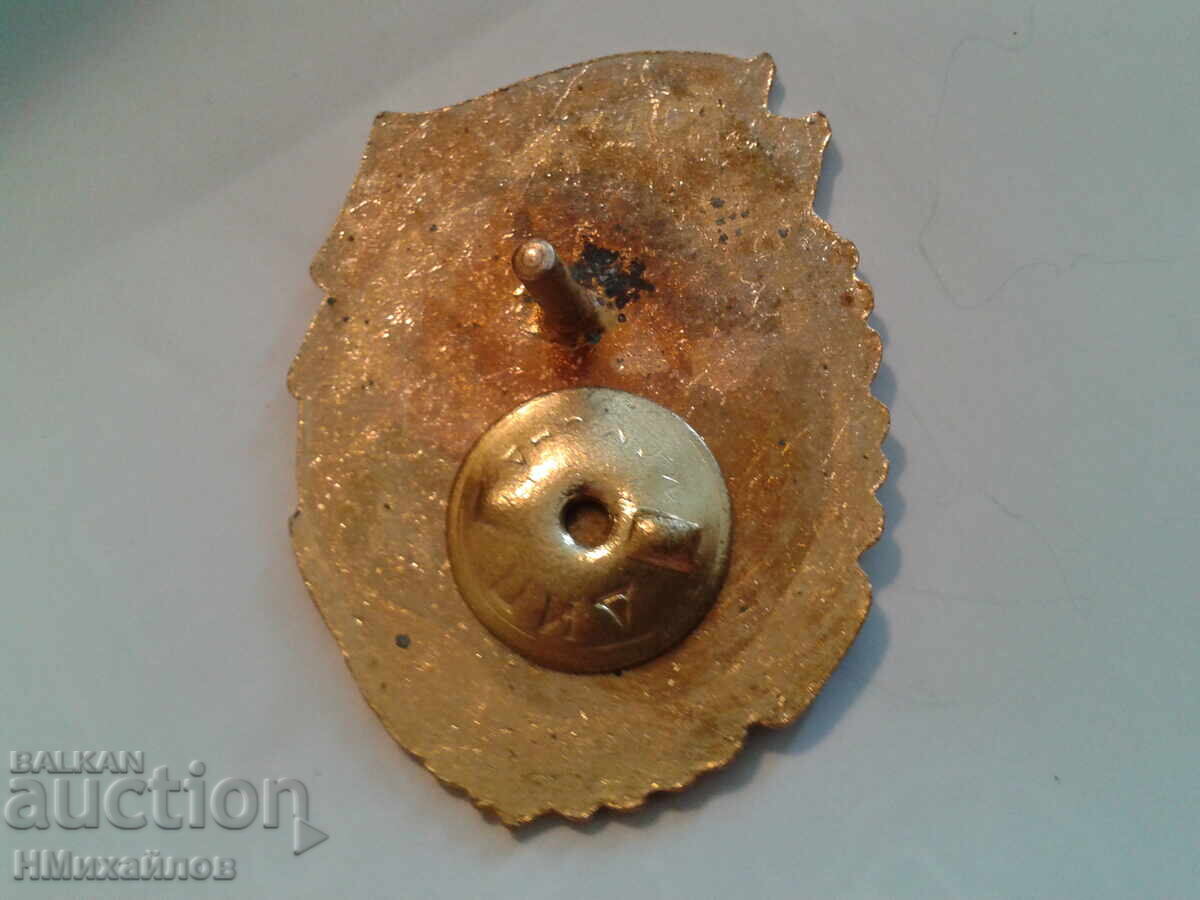 Breastplate - 6 Breastplate - 6