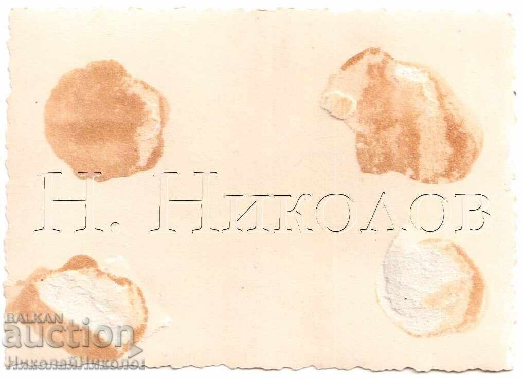 SMALL OLD PHOTO GUN MILITARY SMOKING PIPES D400 with price 2.00 BGN | € 1.02 SMALL OLD PHOTO GUN MILITARY SMOKING PIPES D400 with price 2.00 BGN | € 1.02