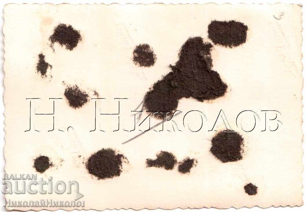 SMALL OLD PHOTO KYUSTENDIL HIGH SCHOOL STUDENTS ICE UNDER THE BRIDGE D403 with price 2.00 BGN | € 1.02