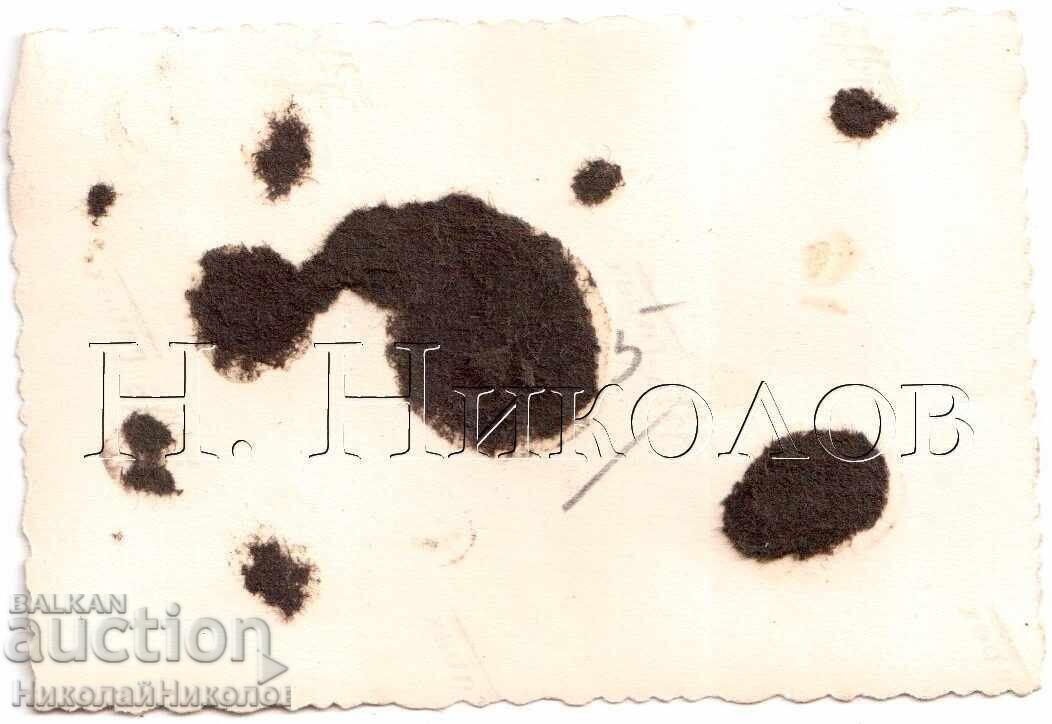 ΜΙΚΡΗ ΠΑΛΙΑ ΦΩΤΟΓΡΑΦΙΑ ΜΑΘΗΤΩΝ ΛΥΚΕΙΟΥ KYUSTENDIL ΠΑΓΟΣ ΚΑΤΩ ΤΗ ΓΕΦΥΡΑ D404 με τιμή 2.00 BGN | € 1.02 ΜΙΚΡΗ ΠΑΛΙΑ ΦΩΤΟΓΡΑΦΙΑ ΜΑΘΗΤΩΝ ΛΥΚΕΙΟΥ KYUSTENDIL ΠΑΓΟΣ ΚΑΤΩ ΤΗ ΓΕΦΥΡΑ D404 με τιμή 2.00 BGN | € 1.02