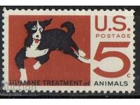 1966. USA. Animal welfare.