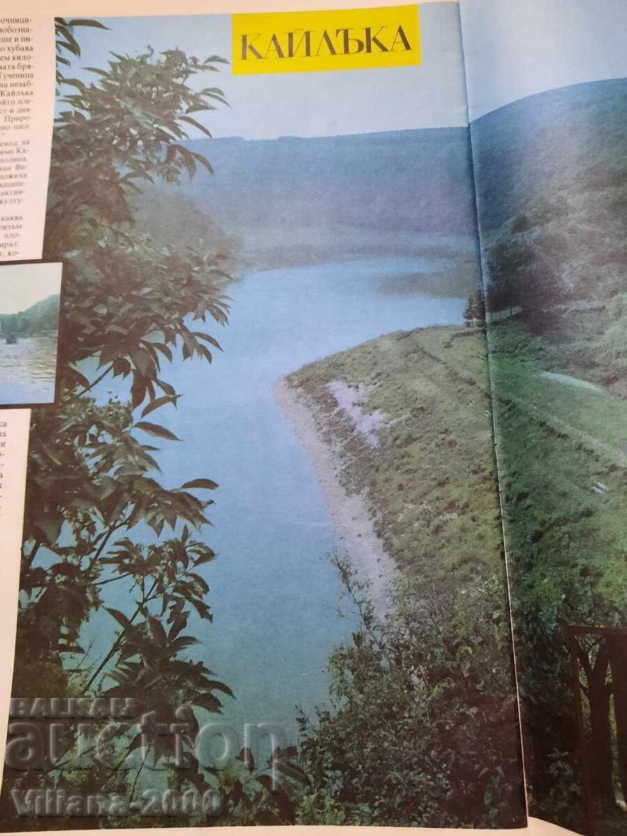 Auction Magazine-Our Home. Pleven Auction Magazine-Our Home. Pleven