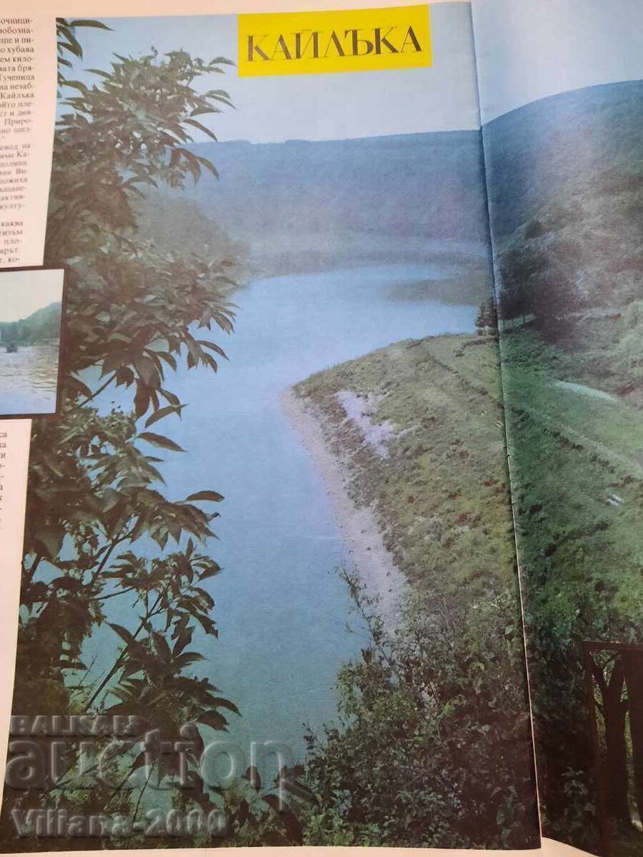 Auction  Magazine-Our Home. Pleven