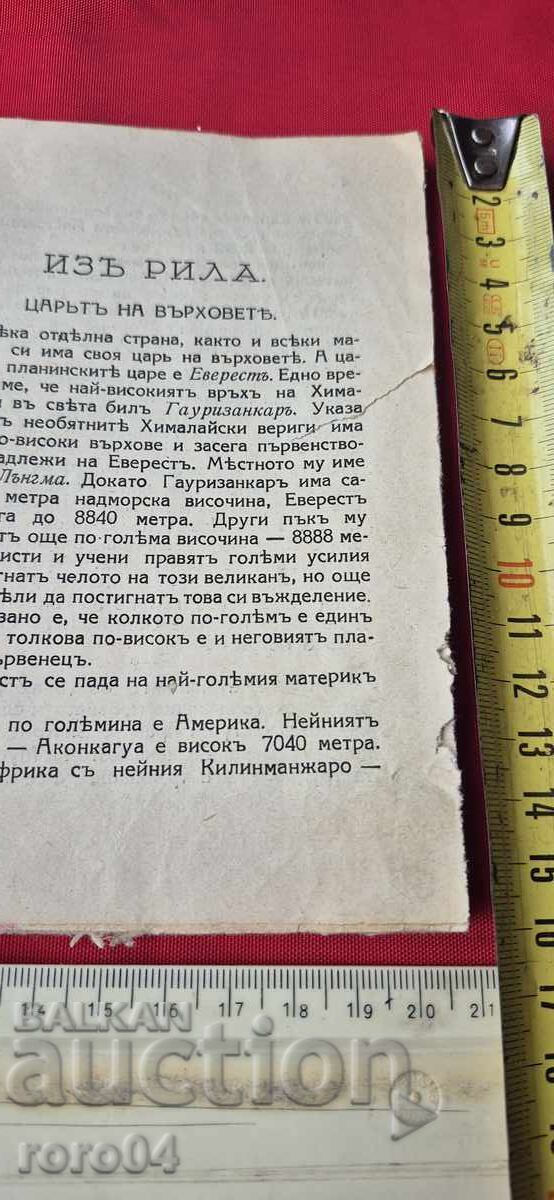 Auction FROM RILLA - PAVEL DELIRADEV Auction FROM RILLA - PAVEL DELIRADEV