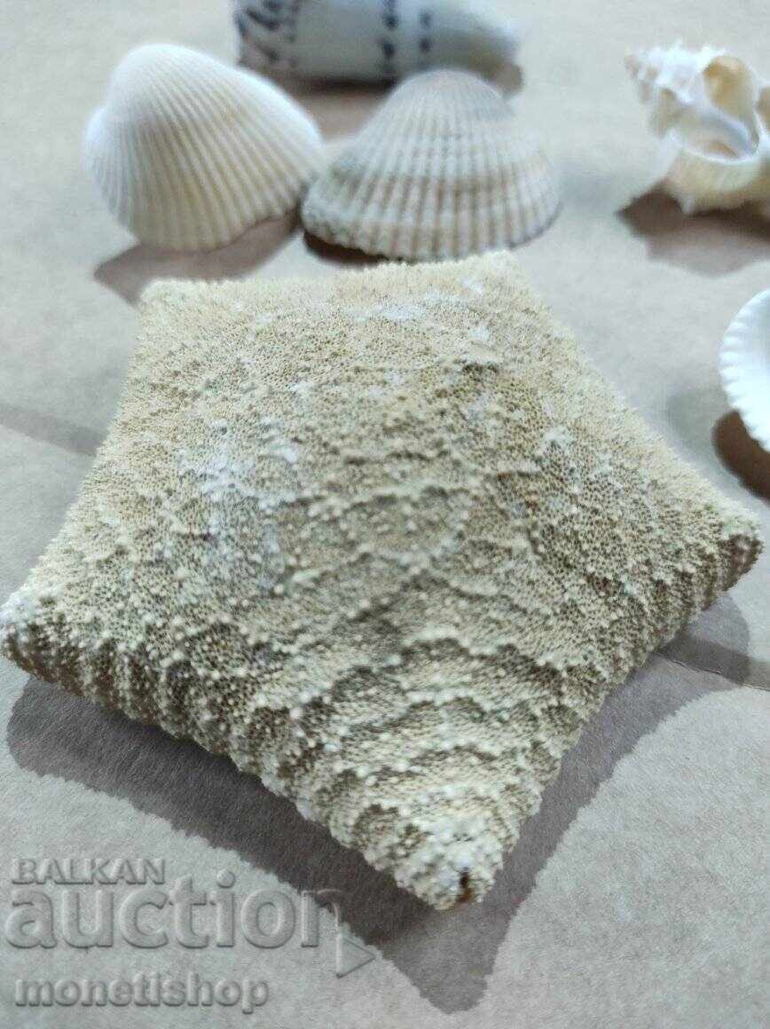 Δώρα στον ωκεανό. με τιμή 25.00 BGN | € 12.78 Δώρα στον ωκεανό. με τιμή 25.00 BGN | € 12.78