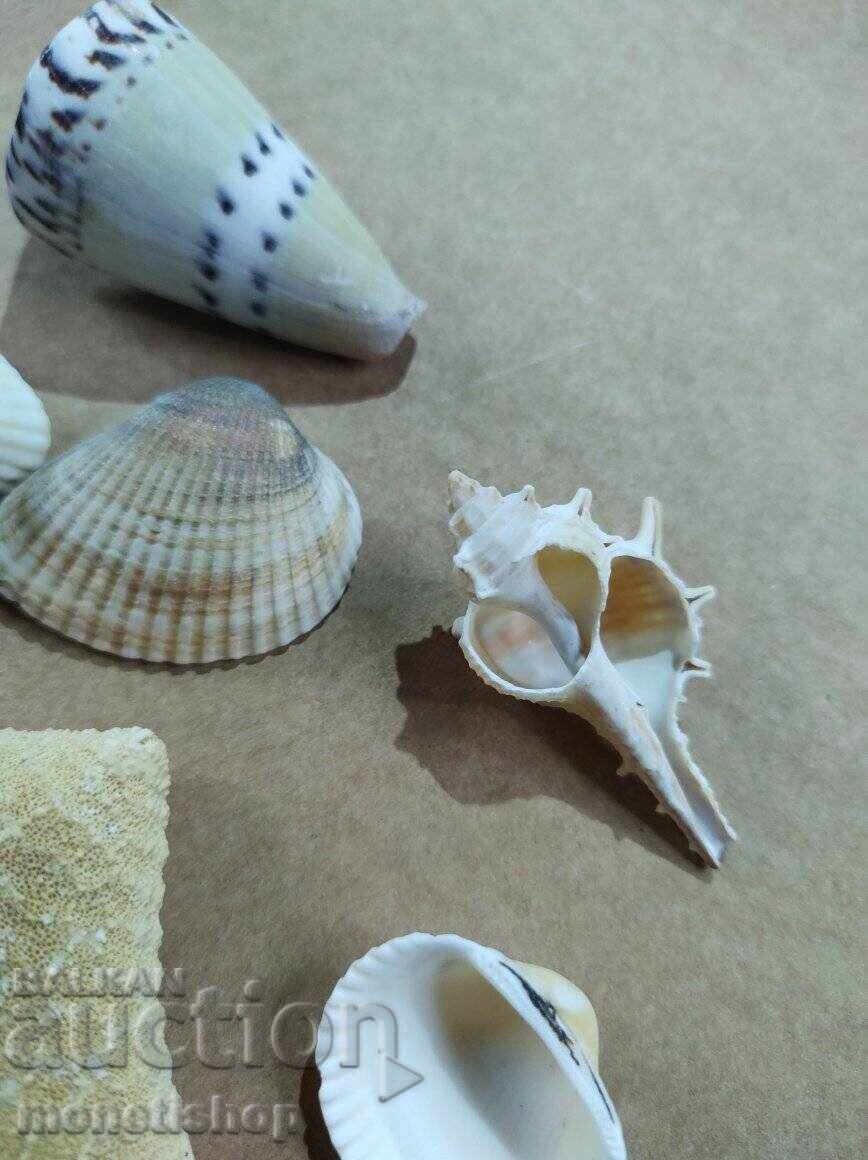 Auction We offer a large collection of wine labels. Auction We offer a large collection of wine labels.