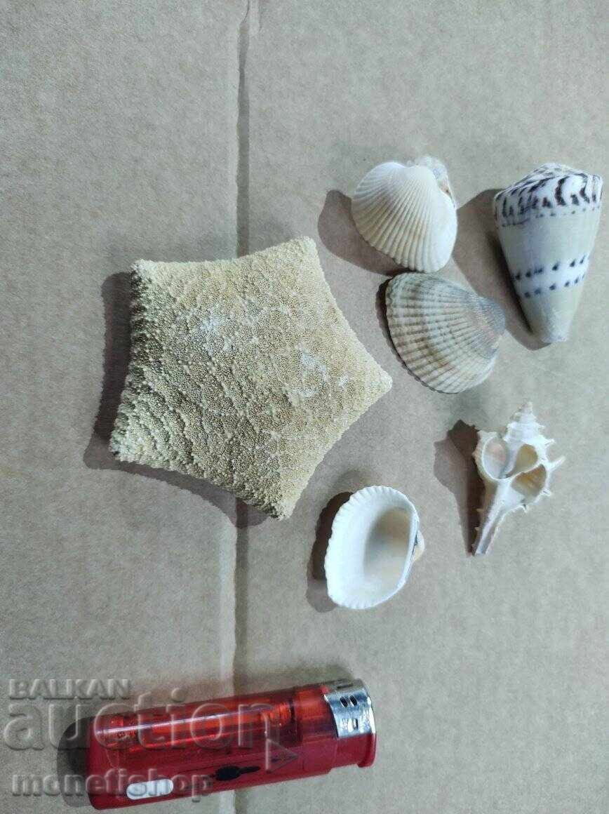 We offer a large collection of wine labels. We offer a large collection of wine labels.