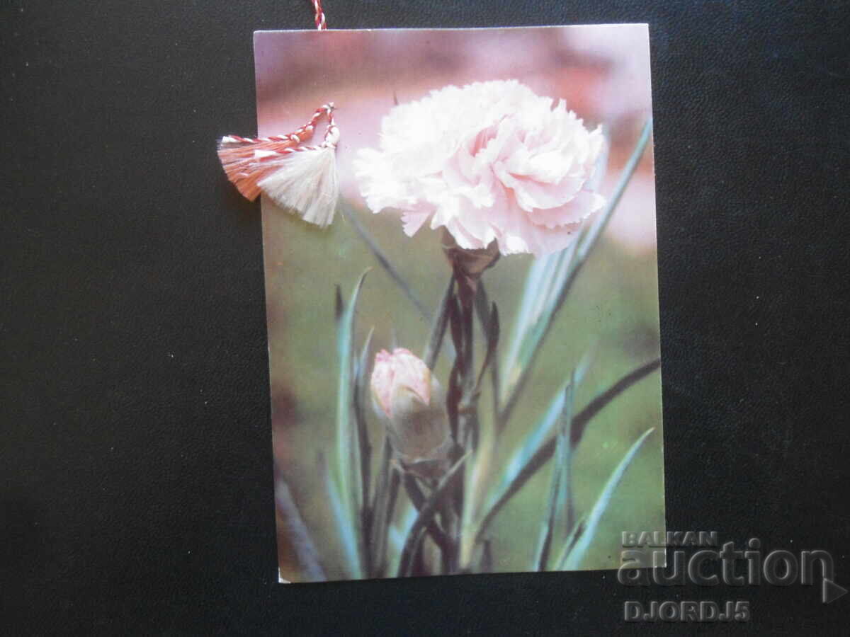 Old Bulgarian greeting cards, 5 pieces - 6 Old Bulgarian greeting cards, 5 pieces - 6