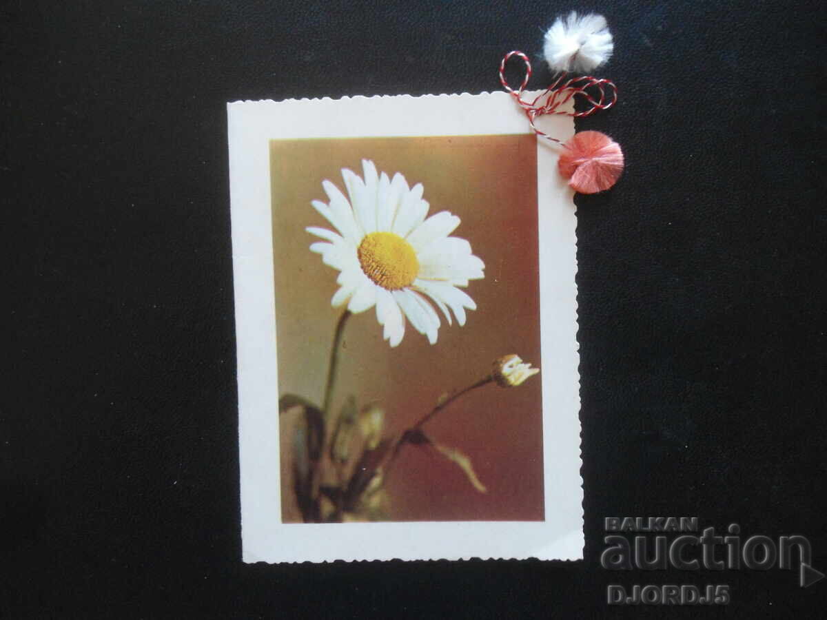 Old Bulgarian greeting cards, 5 pieces with price 3.00 BGN | € 1.53 Old Bulgarian greeting cards, 5 pieces with price 3.00 BGN | € 1.53
