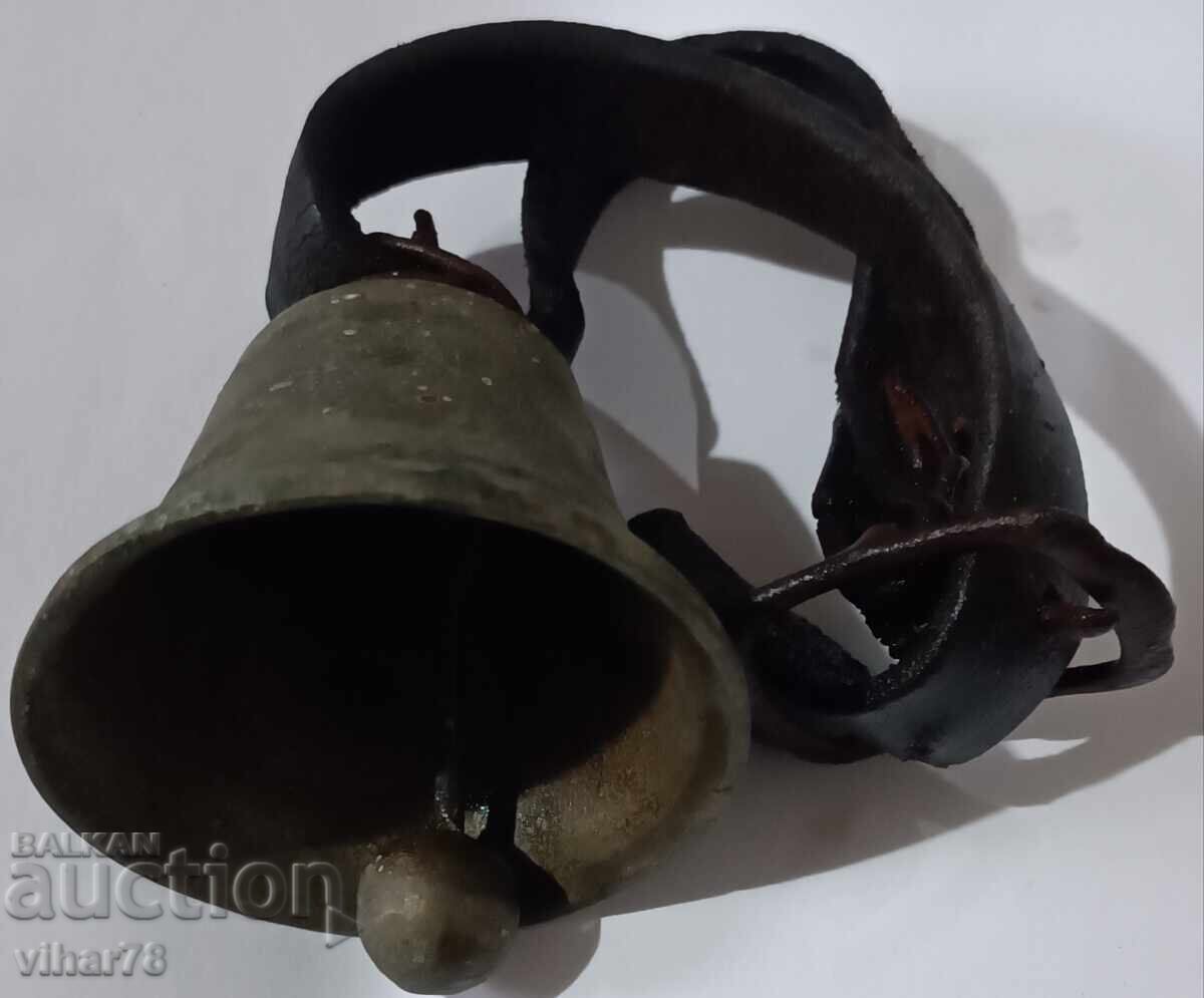 Licitație chan- bell Licitație chan- bell