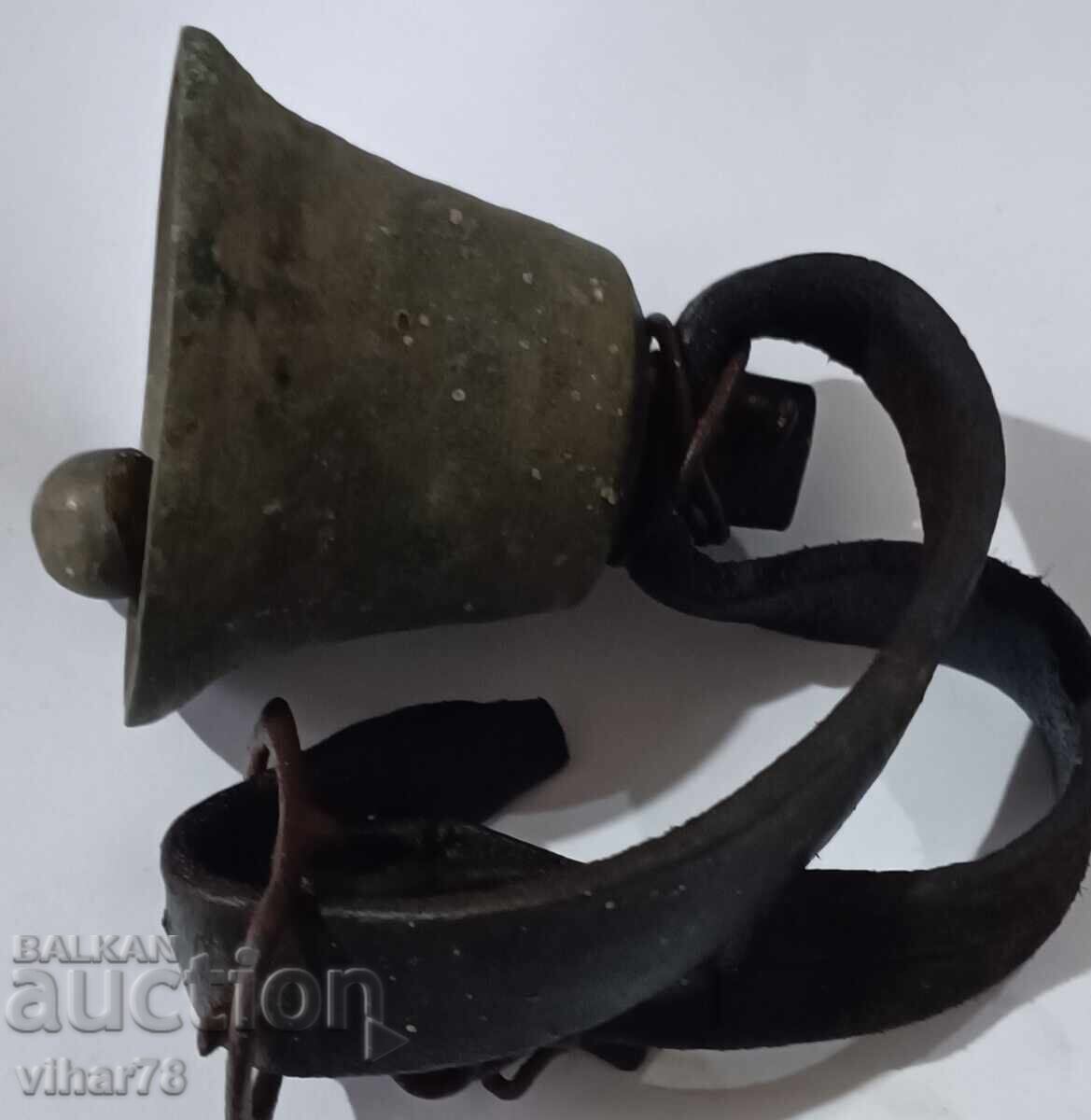 chan- bell - 6 chan- bell - 6