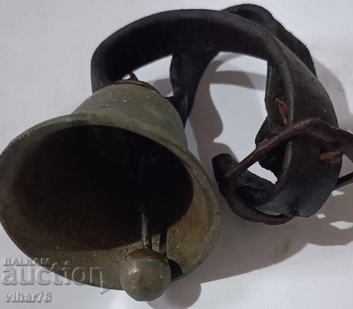 chan- bell - 7 chan- bell - 7