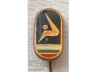 Badge - Rhythmic Gymnastics BFG